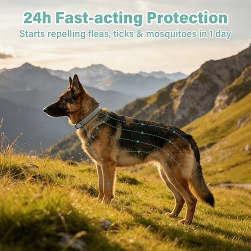 Flea and Tick Collar for Dogs, 6 Pack Natural Flea and Tick Prevention for Dogs in a Waterproof Design with Natural Essential Oils, Adjustable Multi-Pest Repellent Collar for All Dog Sizes