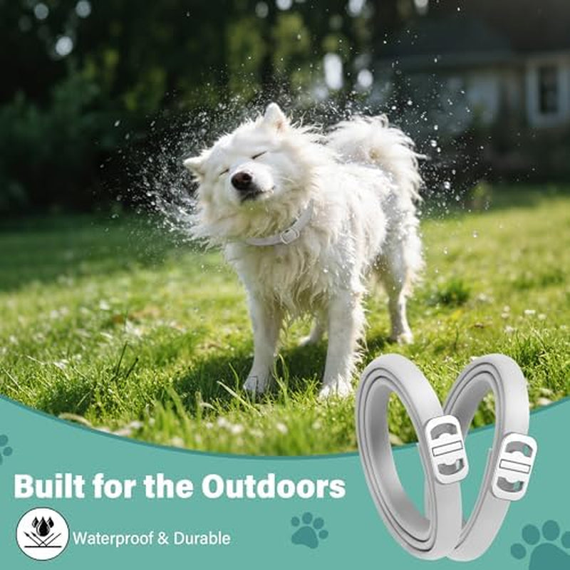 Flea and Tick Collar for Dogs, 6 Pack Natural Flea and Tick Prevention for Dogs in a Waterproof Design with Natural Essential Oils, Adjustable Multi-Pest Repellent Collar for All Dog Sizes